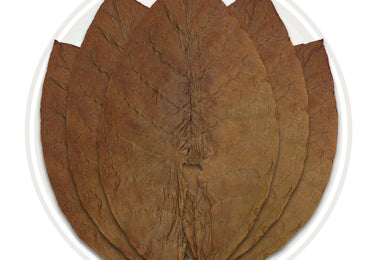 Sumatra Cigars