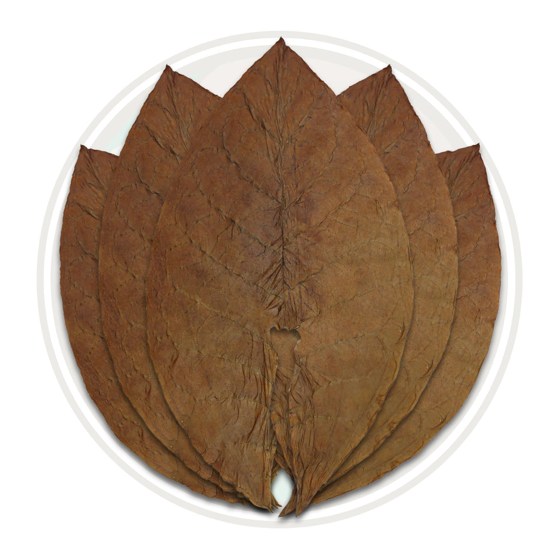 Sumatra Cigars