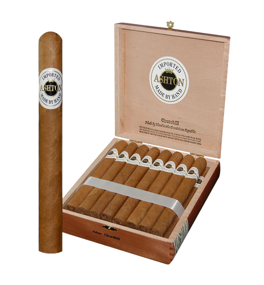 Ashton Classic- Churchill