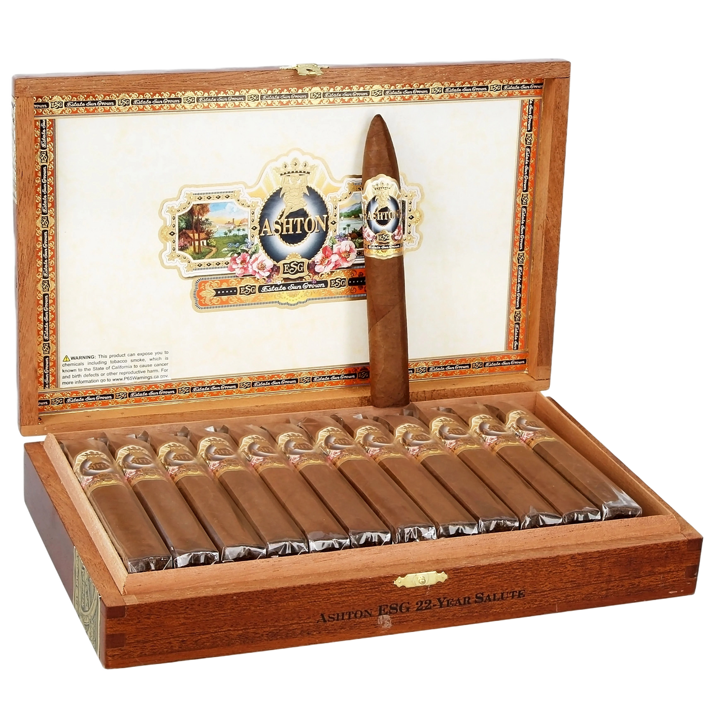 Ashton ESG- 22 Year Salute