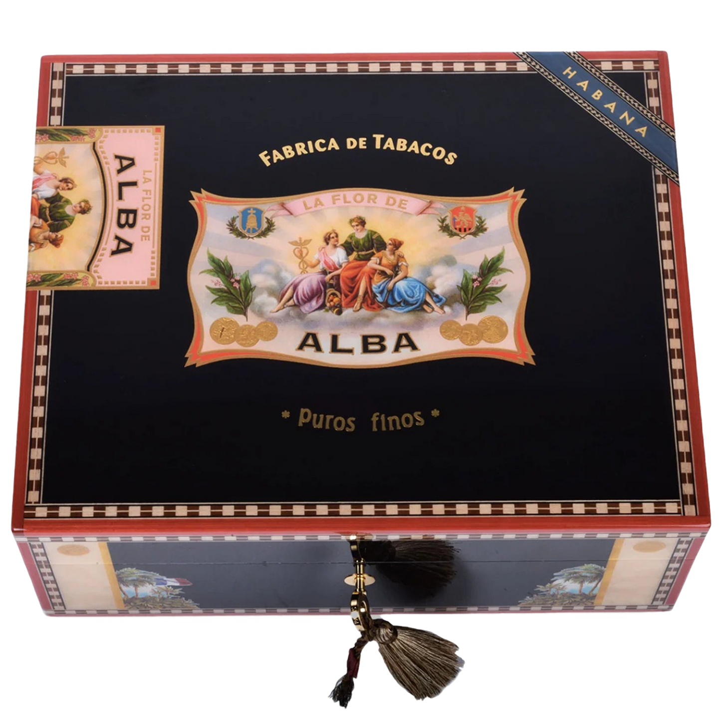 Elie Bleu Alba 75 Count- Black Sycamore