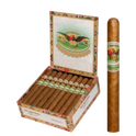 San Cristobal Elegancia- Churchill