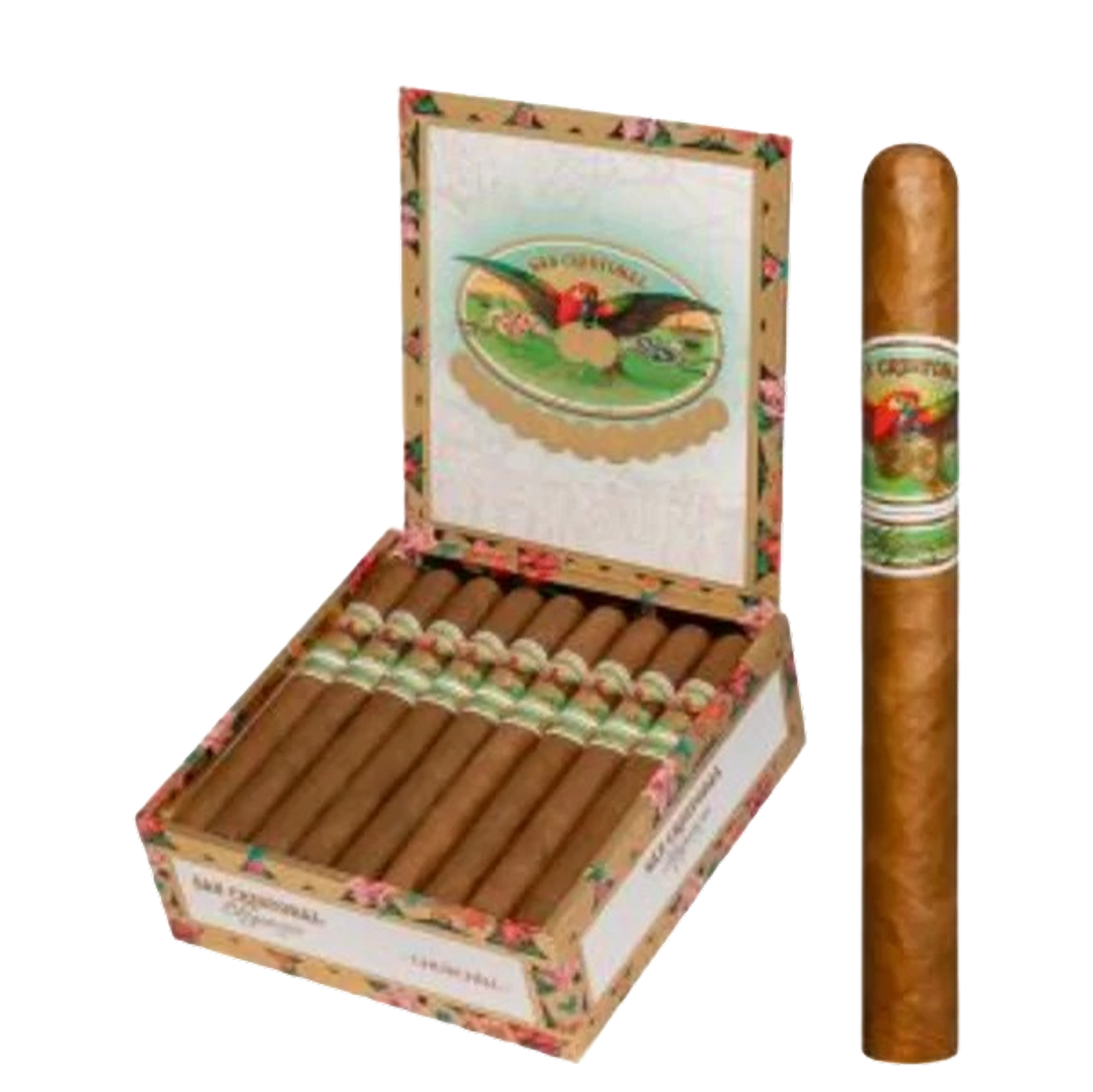 San Cristobal Elegancia- Churchill