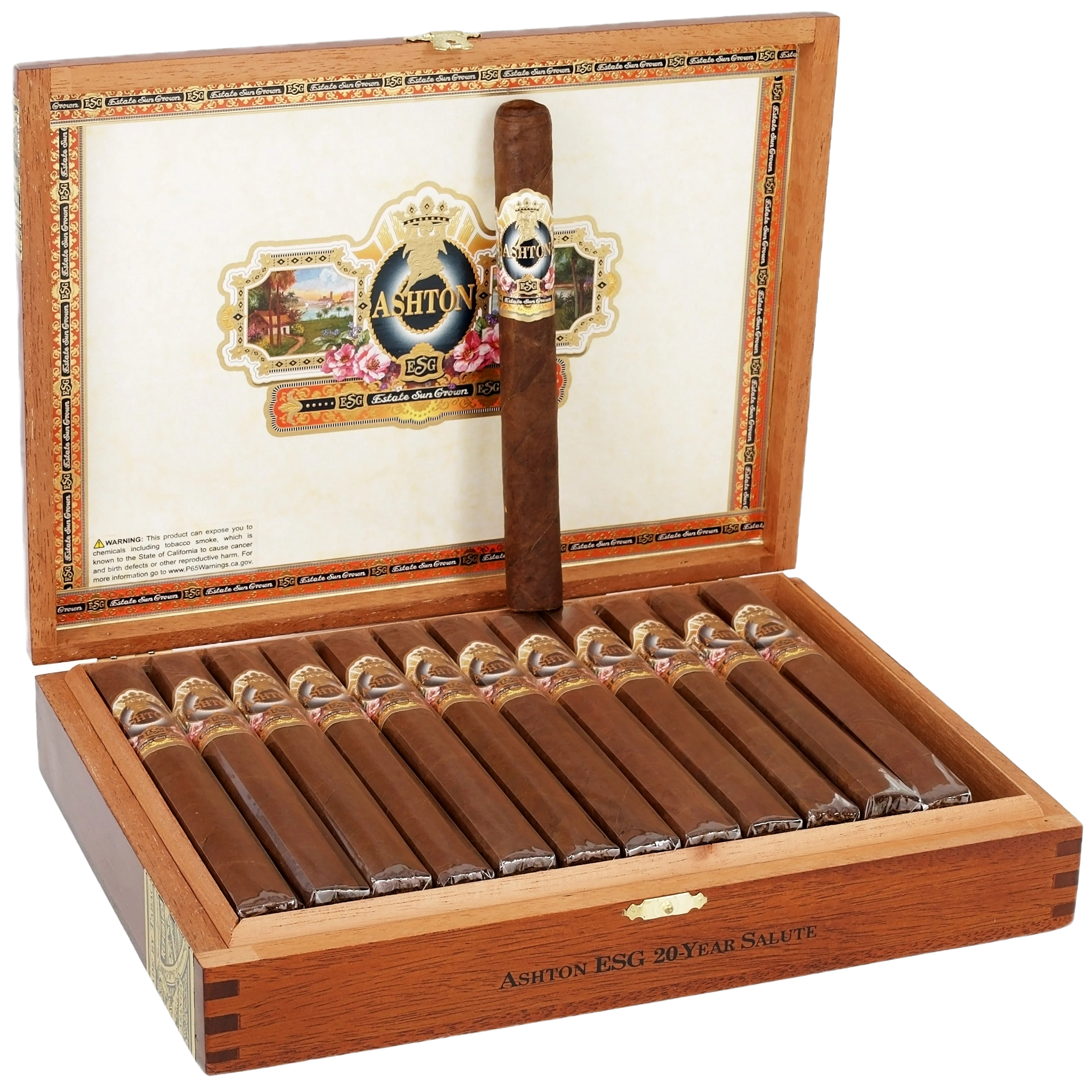 Ashton ESG- 20 Year Salute