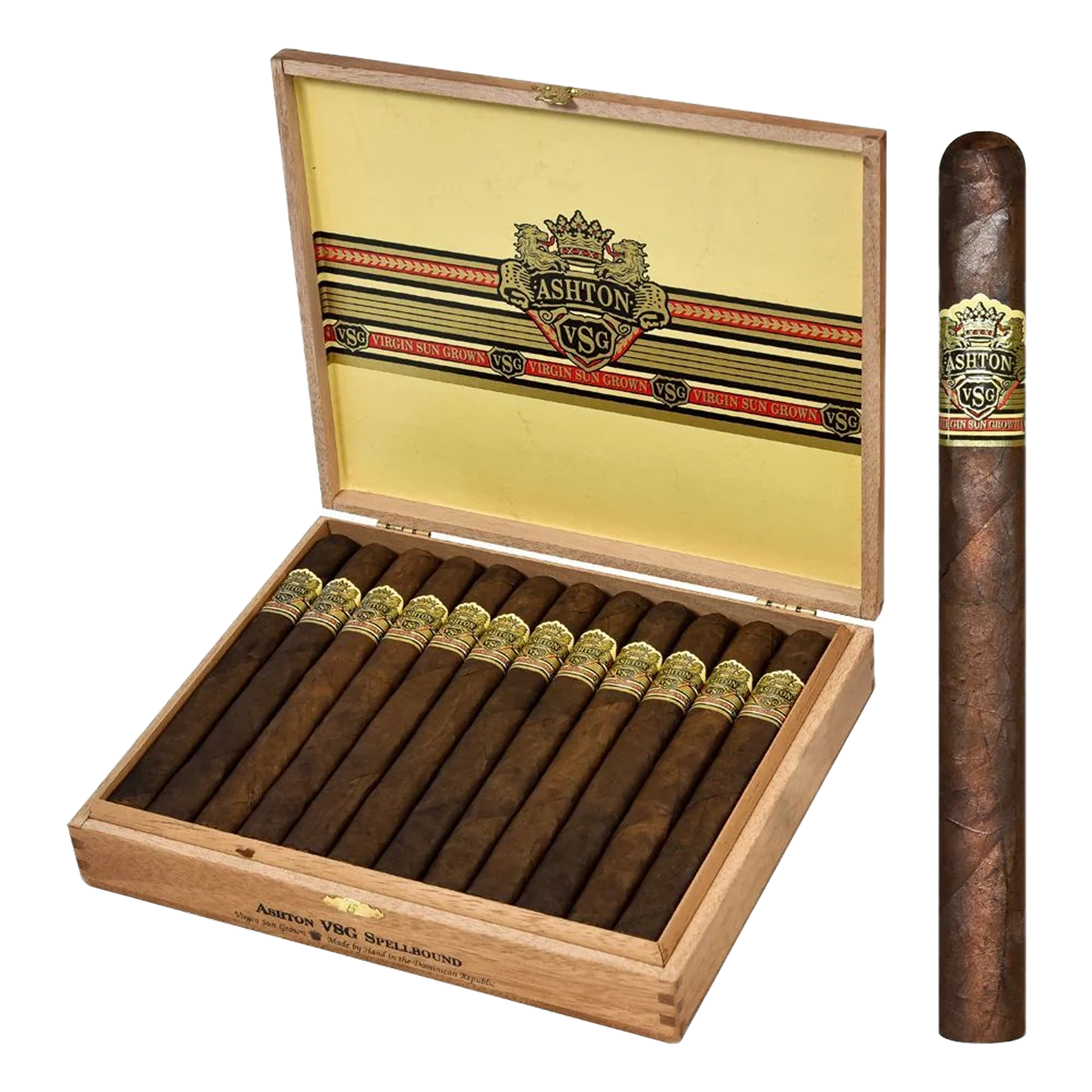 Ashton VSG- Spellbound