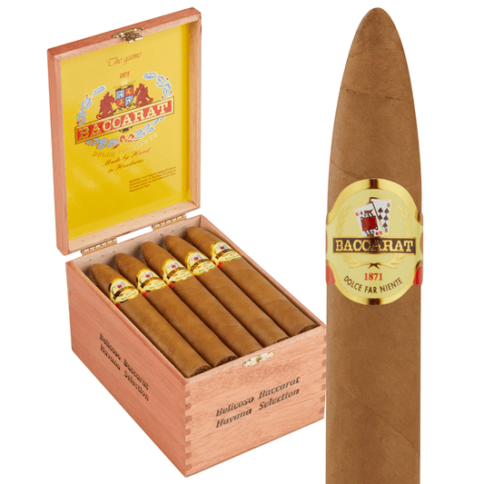 Baccarat - Belicoso