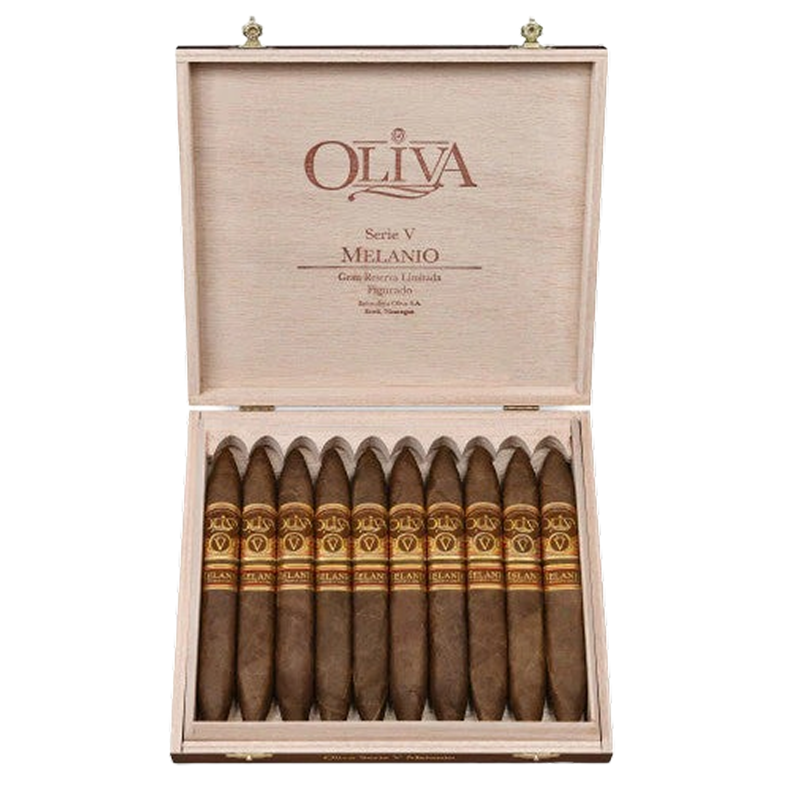 Oliva V Melanio-figurado